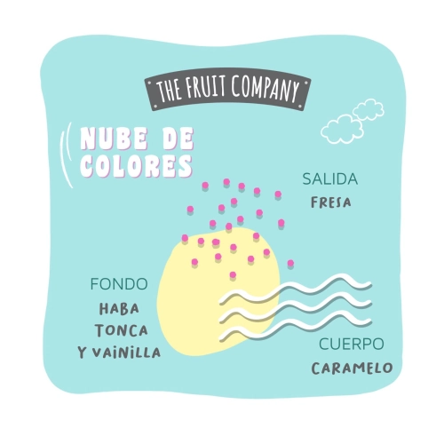 THE FRUIT COMPANY CANDY SHOP AMBIENTADOR MIKADO NUBE DE COLORES - Imagen 3